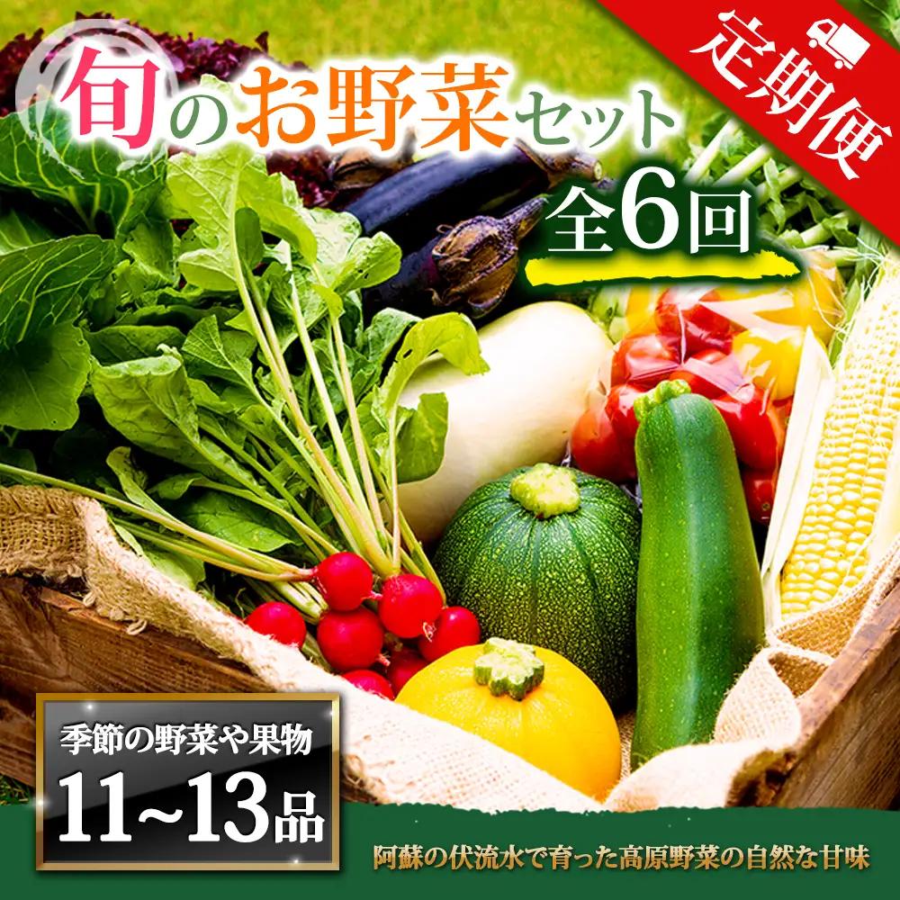 【定期便 全6回】畑から直送  季節のお野菜セット XLサイズ 