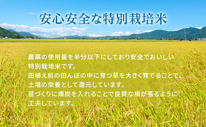 令和6年産 白米 3kg 特別栽培米 にこまる 山田錦 米 お米 こめ コメ 特栽米 ひょうご安心ブランド ご飯 ごはん ゴハン 兵庫県 加西市