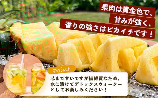 《2026年5月中旬以降順次発送》【先行予約】香りに溺れる！？ 完熟の極 てとの黄金パイン大玉約2kg【 沖縄 石垣 ゴールデン パイン パイナップル 完熟 セット フルーツ デザート オリジナル 】