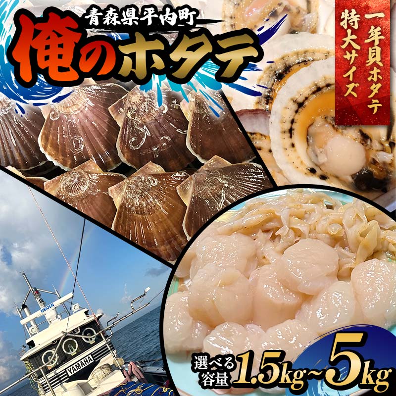 【ふるさと納税】≪容量が選べる≫ 「俺のホタテ」 1年貝ホタテ特大サイズ 1.5kg～5kg ホタテ ほたて 帆立 活ホタテ 貝柱 殻付き 魚介 魚貝 魚貝類 青森 青森県 東北 平内 むつ湾 F21J-242var