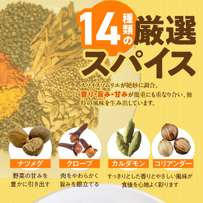 久留米さざなみどりのスパイスチキンカレー
