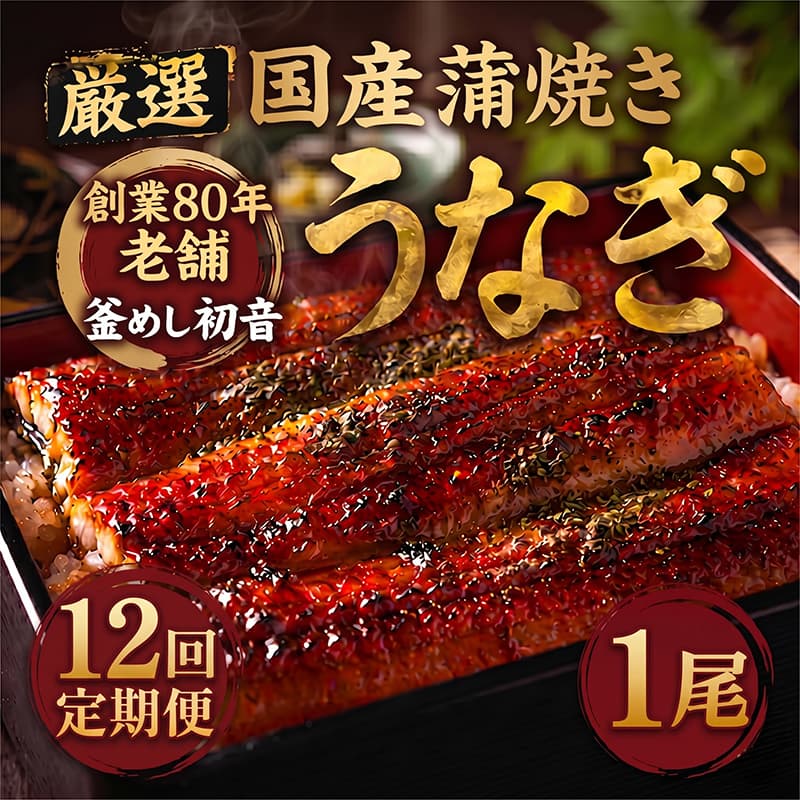 【ふるさと納税】 定期便 12回 国産 うなぎ かば焼き 1尾 （ 1本約190g〜220g ） 70年つぎ足しの秘伝のたれ 初音の 厳選 高知県産 うなぎ 蒲焼き タレ付き ウナギ 鰻 国産 魚 魚介類 冷凍 海鮮 土曜 丑の日 土曜の丑の日 うな重 うな丼 人気 おすすめ 頒布会 高知県産 室戸市