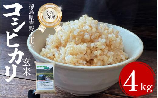 【先行予約】令和7年産 米 玄米 選べる 容量 4kg （2㎏×2袋） コシヒカリ 令和7年度産 玄米 1袋2kg 小分け 便利 お米 こめ 棚田米 白米 精米 ごはん ご飯 白飯 ゴハン 徳島県 吉野川市