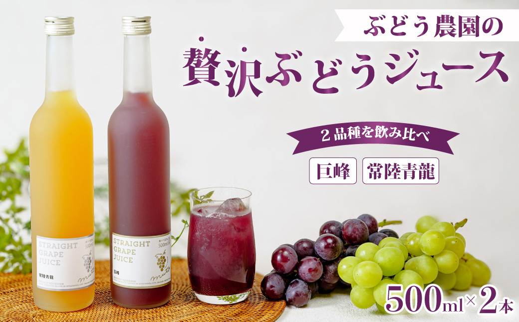 
            まるではちみつ⁉ ぶどうジュース2本（巨峰・常陸青龍）| ジュース ぶどう 葡萄 ブドウ 100%ジュース フルーツ 果汁100% 高級ジュース 贈答用 ギフト 贈り物 高級 希少品種 オリジナル品種 ドリンク 濃厚 美味しい 贅沢 飲み物 飲料 果汁 酸味 甘味 バランス コク 味わい 冷蔵庫 ファミリー 子ども 飲み比べ セット 特別 贅沢なジュース 茨城県 常陸太田市
          