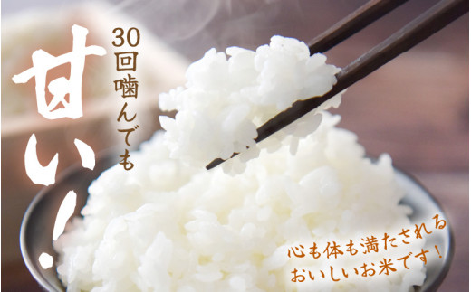 【令和8年産】長谷川農園の コシヒカリ 無洗米 5kg【お米 こしひかり 5キロ 精米 ブランド米 ふるさと納税米 産地直送】 [m22-a011]