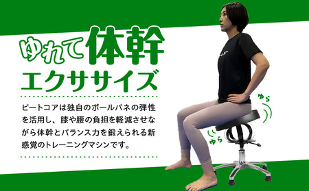 トレーニングマシン ビートコア ツイスト