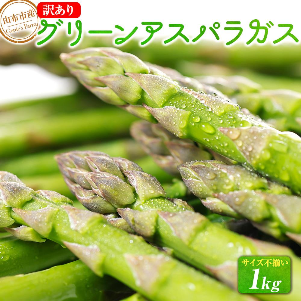 【ふるさと納税】【2025年発送／先行予約】訳あり 由布市産 グリーンアスパラガス 1kg（サイズ不揃い） | アスパラガス アスパラ 新鮮野菜 旬野菜 春野菜 夏野菜 詰め合わせ 九州 大分県 湯布院 由布院 ゆふいん