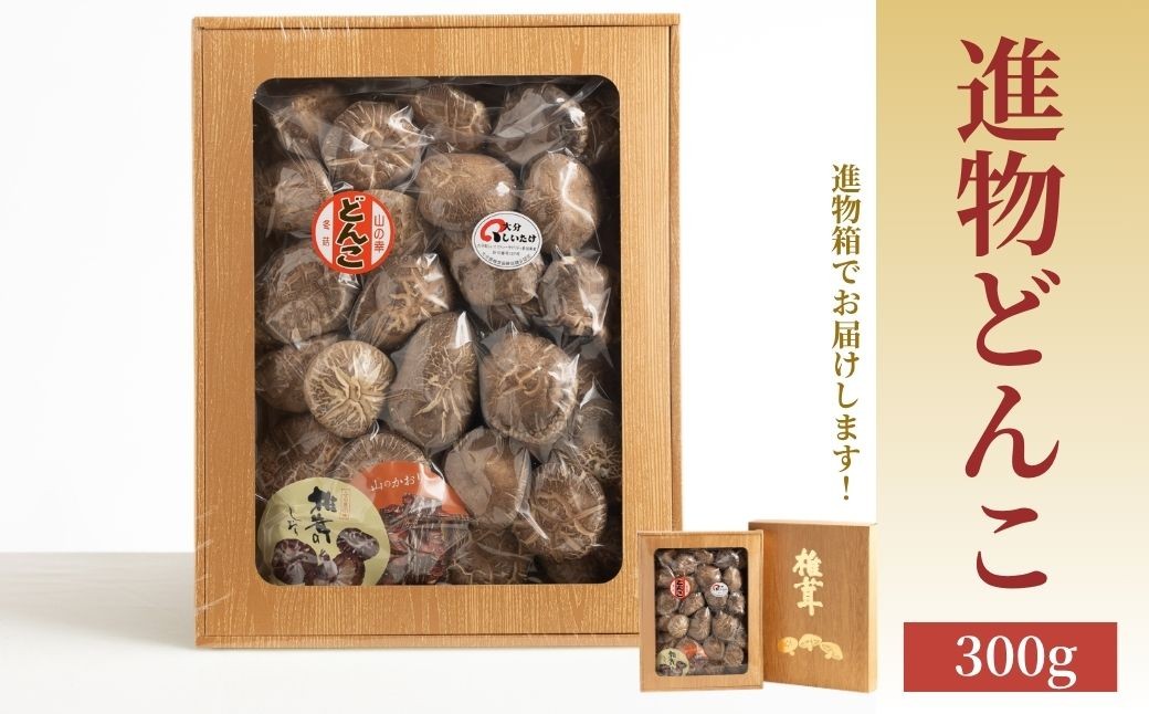 
                  椎茸（しいたけ/シイタケ） 進物どんこ椎茸 300g | 椎茸 干椎茸 乾椎茸 椎茸料理 肉厚椎茸 椎茸出汁 椎茸ステーキ 乾し椎茸 原木椎茸 贈答用椎茸 ギフト椎茸 シイタケ しいたけ 大分産 きのこ ギフト 国産 産地直送 津久見市
                