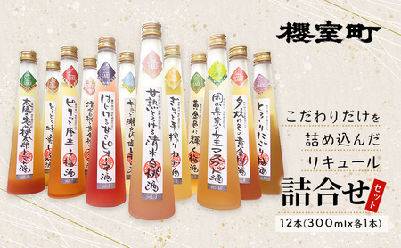 お酒 櫻室町こだわりだけを詰め込んだリキュール 詰合せ セット 計12本（12種類 300mlx各1本） お酒