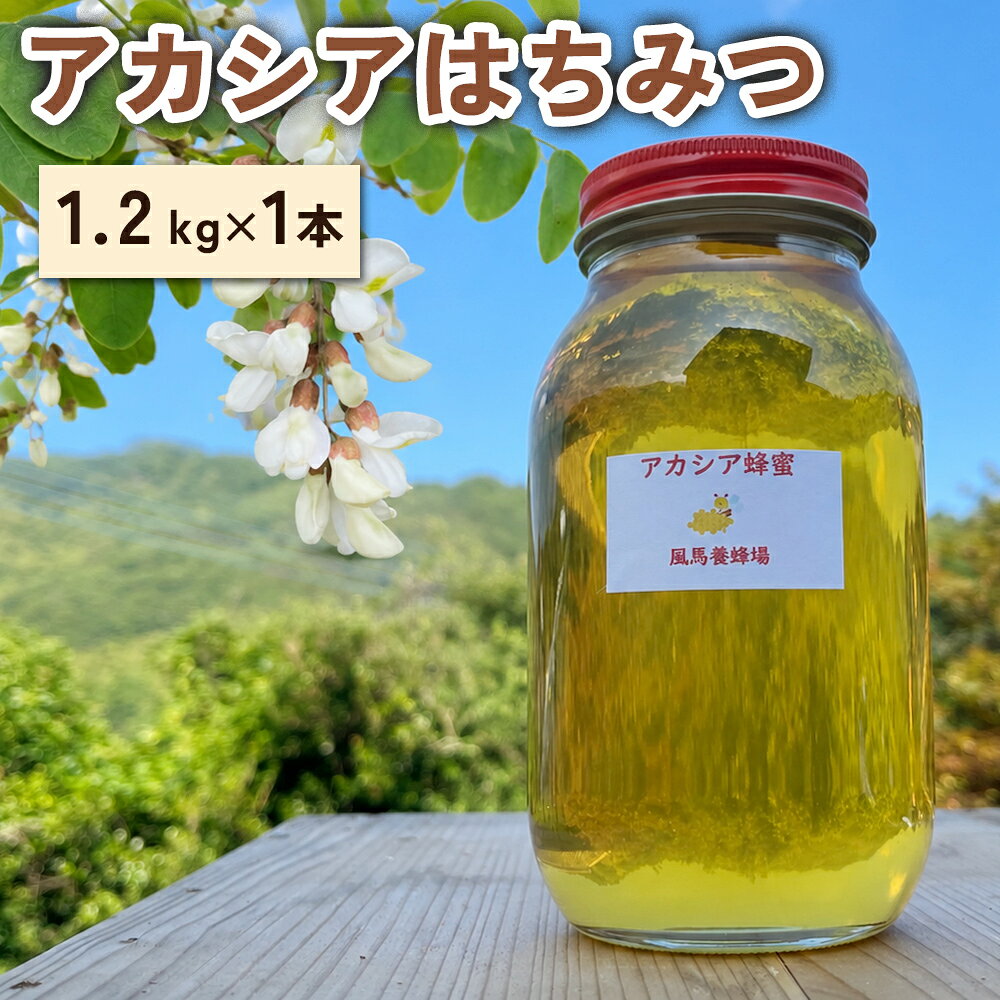 【ふるさと納税】風馬養蜂場 アカシアはちみつ 大びん1.2kg｜大容量 国産 純粋はちみつ 蜂蜜 ハチミツ 無添加 ハニー 産地直送 甘楽町 群馬県 [0358]