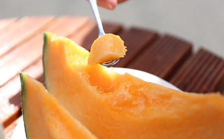 【2024年7月上旬～発送】富良野メロン『NORTH PREMIUM』1玉 約2kg以上 北海道 ふらの (NORTH FUN) メロン フルーツ 果物 新鮮 甘い 贈り物 ギフト 道産 ジューシー 