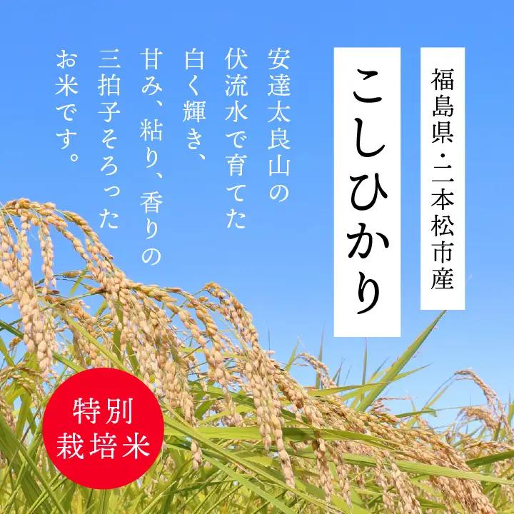 米 令和7年産 こしひかり5kg【株式会社あだたら米】