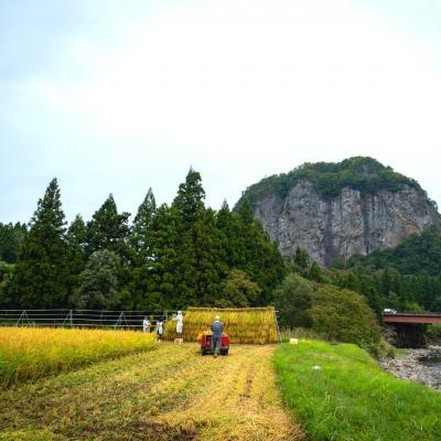 ふるさと納税 三条市 八木ヶ鼻舞い オーガニックなコシヒカリ 玄米 5kg 令和7年産【019S020】 |  | 01