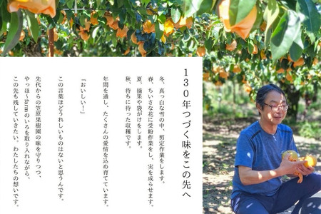 梨 幸水 5kg 白神山地の麓 峰浜の梨 笠原果樹園