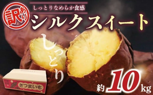 訳あり さつまいも シルクスイート 約 10kg 土付き 国産 千葉県産 訳アリ 訳有 さつま芋 いも サツマイモ 国産 千葉県産 旬 秋 野菜 焼きいも 焼き芋 スイートポテト sweet potato  お菓子 新鮮 産地直送 おすすめ ふるさと納税 10000円 一万円 千葉県 旭市 向後メロン園 kug006
