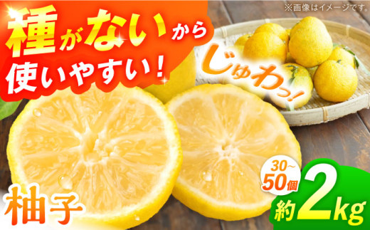 【2026年先行予約】種なし柚子 2kg（30から50個）＜2026年11月中旬より順次発送＞ ゆず 種無し ユズ 多田錦 三次産 種なし 柚子 柑橘 芳香 柚子 種なし ゆず茶 料理 広島県産 特産品 産地直送 お取り寄せ 贈り物 ギフト 贈答品 絶品 銘品 三次グルメ 三次市/小さなくだもの畑[APAQ001]