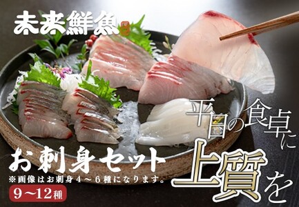 旬のお刺身用 柵セット 9～12種 高知 海鮮 盛り合わせ 食べ比べ 鮮度抜群 刺し身 グルメ 酒の肴