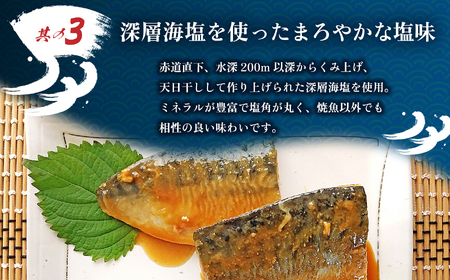 サバ 訳あり 塩さば 切り身 500g