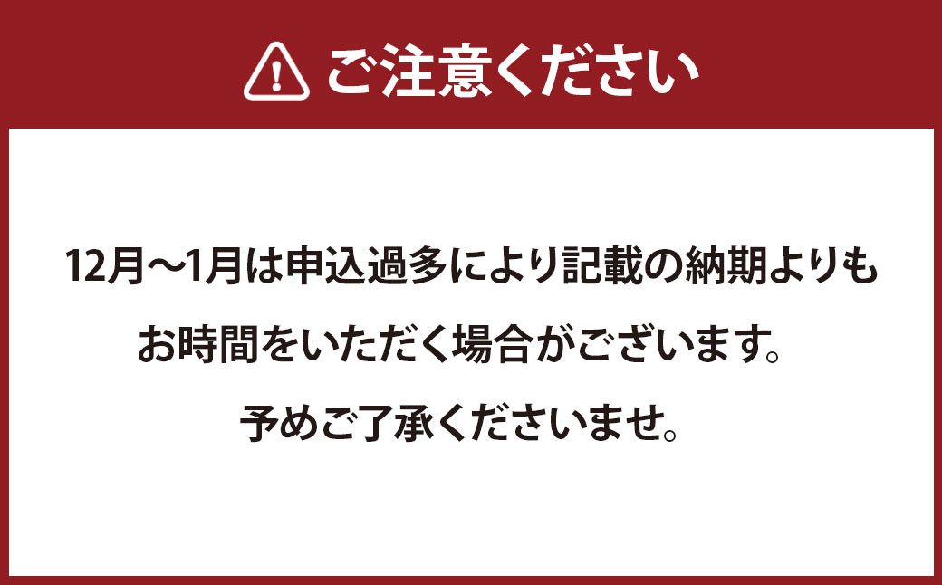 本べっ甲メガネホルダー