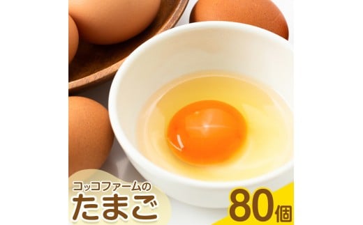 コッコファームのたまご 選べる内容量 80個 コッコファーム《90日以内に出荷予定(土日祝除く)》熊本県 菊池市 卵 鶏卵 玉子 たまご 家庭用 熊本県産 九州産 冷蔵 送料無料