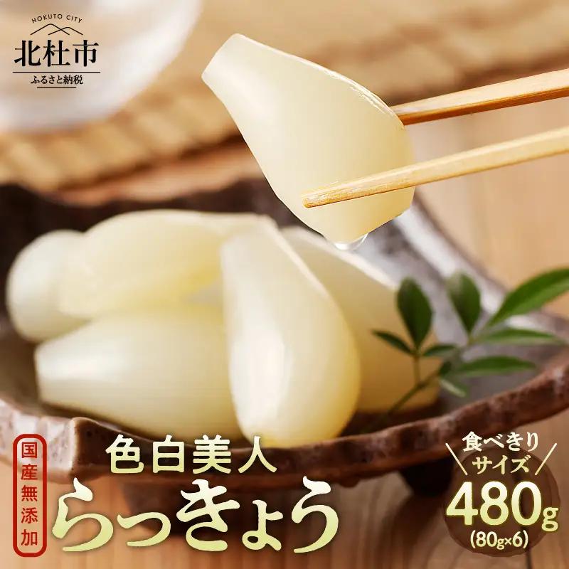 食べきりサイズ 色白美人らっきょう 国産無添加 80g×6袋　ラッキョウ 食べきりサイズ 480g おつまみ ご飯のおとも お酒のお供 野菜 旬 漬物 つけもの お漬物 常温保存 山梨県 北杜市
