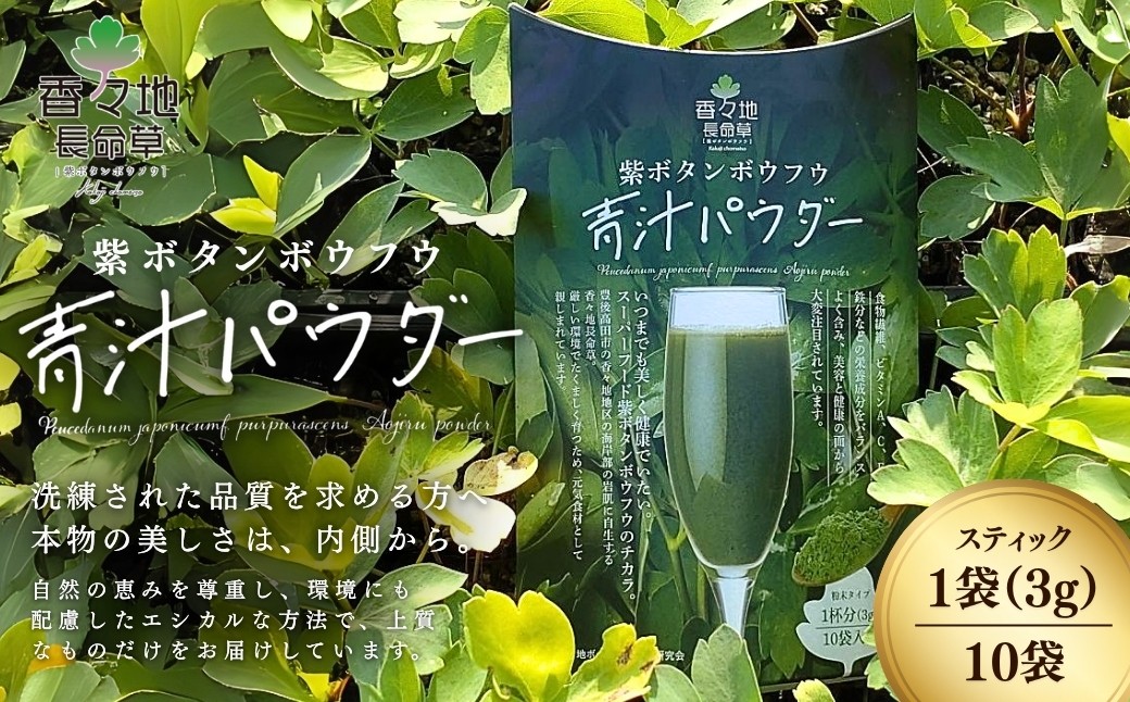 
                  【スピード発送】  香々地長命草パウダー（3g×10包入）| 香々地ベジファーム　豊後高田市　長命草　長命草青汁　青汁　お通じ改善 ボタンボウフウ スムージー 健康習慣 ふるさと納税 長命草 パウダー 個包装 美容 健康 粉末 健康維持 野菜不足 食物繊維 ビタミン 鉄
                