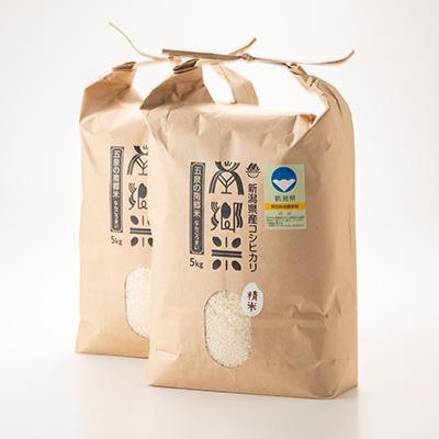 ふるさと納税 五泉市 令和7年産 特別栽培米 隠れたお米の名産地! 新潟県五泉産コシヒカリ「南郷米」精米10kg |  | 01