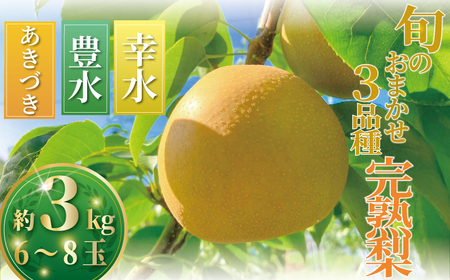 梨 なし ナシ 約3kg 6玉から8玉 くだもの 果物 フルーツ nasi 旬 新鮮 完熟 先行予約 数量限定 産地直送 農家直送 幸水 豊水 あきづき プレゼント ギフト 贈り物 有機肥料 冷蔵 鈴木園 神奈川 湘南 藤沢