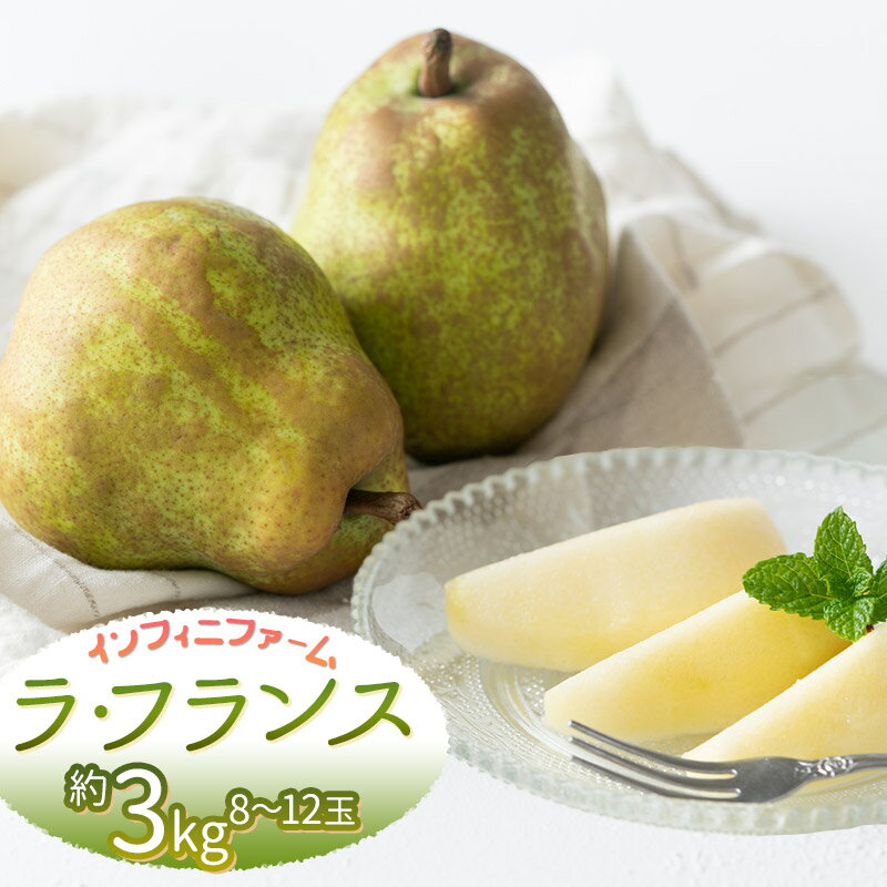 【ふるさと納税】【令和8年産先行予約】鶴岡市産洋梨 ラ・フランス 約3kg（8～12玉）　インフィニファーム　K-828
