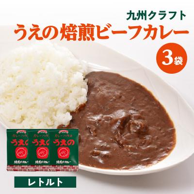 ふるさと納税 大分市 九州クラフト うえの焙煎ビーフカレー レトルト 3袋_K03042