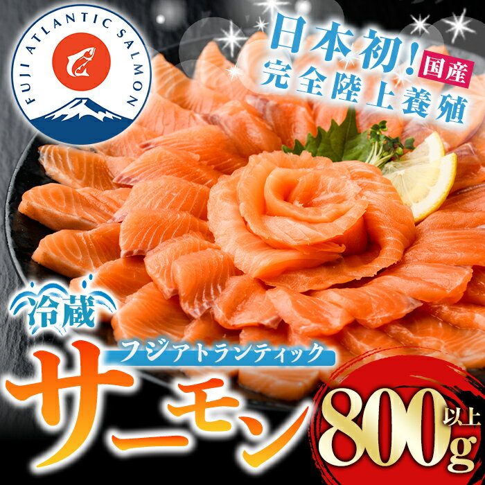 【ふるさと納税】 生 サーモン の感動をお届け【日本初：完全陸上養殖】「 フジ アトランティック サーモン 」【 生 】800g以上 国産 ポーション ブロック 刺身 冷蔵 小分け 真空パック さしみ 刺し身 魚介 魚 柵 カルパッチョ Fuji Atlantic Salmon