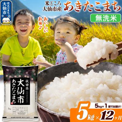 ふるさと納税 大仙市 米《12ヶ月》あきたこまち【無洗米】 あきたこまち5kg|22_ssn-030512_sf