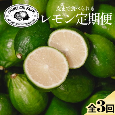 【ふるさと納税】【発送月固定定期便】皮ごと食べられる【グリーンレモン】防腐剤・ワックス不使用【E70-172】全3回【4082669】