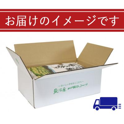 ふるさと納税 十日町市 新潟県魚沼産 川西コシヒカリ 10kg(5kg×2袋)　令和7年産米【10月下旬以降発送】 |  | 03