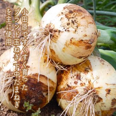 ふるさと納税 小田原市 しいたけとたまねぎのなんでもソース≪レギュラーサイズ≫220ml×3本 |  | 03