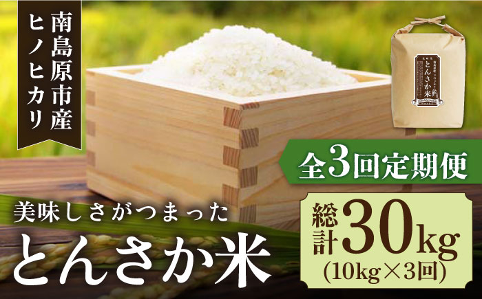 
            【南島原市産ヒノヒカリ】とんさか米 10kg×3回 定期便 / ひのひかり 米 お米 こめ コメ 精米 / 南島原市 / 林田米穀店 [SCO006]
          