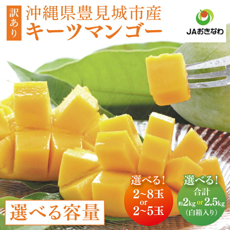 【ふるさと納税】【選べる内容量】 ≪ ★ 訳あり ★ キーツマンゴー (白箱) ≫ 数量限定 ※2025年8月より順次発送します。 沖縄県産 豊見城市 大容量 マンゴー キーツ フルーツ JA 果物 くだもの おきなわ 先行予約 ギフト 贈答 贈り物 プレゼント 送料無料