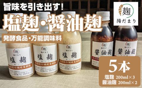 旨味を引き出す塩麹3本・醤油麹2本セット  発酵食品 万能調味料