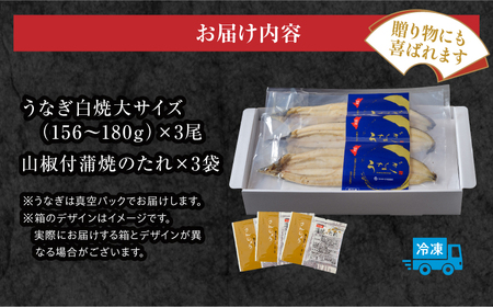 国産うなぎ白焼(大サイズ) 3尾セット うなぎ 白焼 セット タレ 冬うなぎ 冬鰻