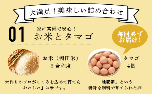 野菜セット 米 卵 付き 約14品 | 肥前の国の農産物大満足セット  佐賀県 鹿島市 B-306