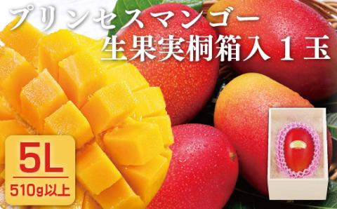 [C146p］プリンセスマンゴー生果実桐箱入(5L)1玉