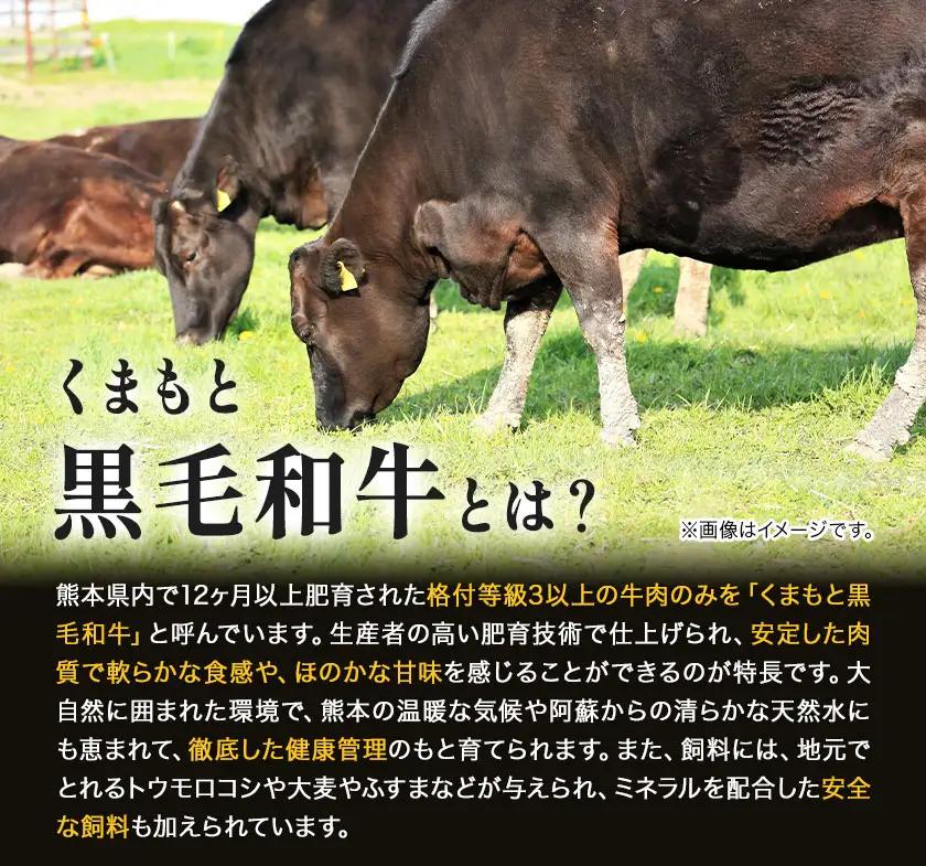 【A4～A5】 くまもと黒毛和牛 切り落とし  500g  黒毛和牛