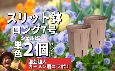 スリット鉢2個 7号 シェルピンク
