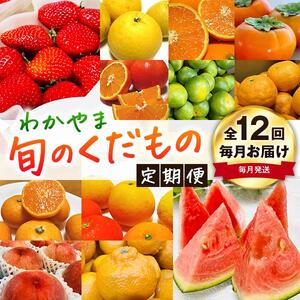 わかやま旬のくだもの定期便 全12回【Ｓ】【毎月発送 】※北海道・沖縄・離島への配送不可 S12-b