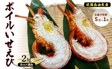 ボイル いせえび 2尾 カット済み 淡路島由良産 エビ カット 魚介類 海鮮 兵庫県 洲本市 淡路島