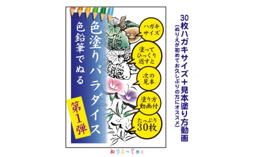 
「色塗りパラダイス」ハガキサイズ色鉛筆で初めての方も安心【30枚】見本が見やすく塗り方説明動画のオマケ付き。たっぷりの絵柄にドンドン挑戦できるのが特徴。
※着日指定不可
