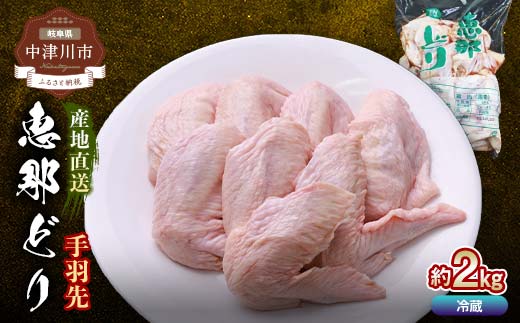 恵那とり手羽先 計2kg おつまみ とり肉 鶏 手羽 鶏肉 チキン 肉 食品 F4N-1784