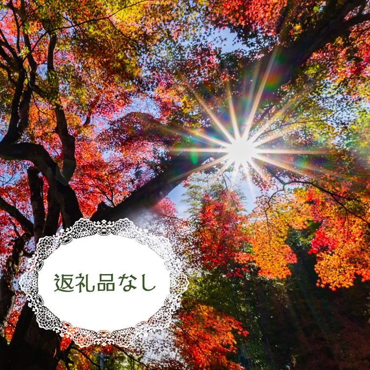 返礼品なし
