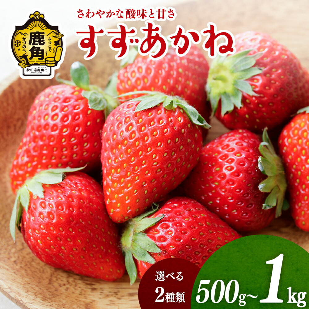 【ふるさと納税】《 先行予約 》鹿角産いちご「すずあかね」 選べる 500g／1kg おすそ分け 県産いちご 国産いちご いちご 苺 イチゴ 誕生日 バースデー 母の日 父の日 贈り物 贈答用 手作り ケーキ グルメ 秋田 あきた 鹿角市 鹿角 送料無料 【神田農園】