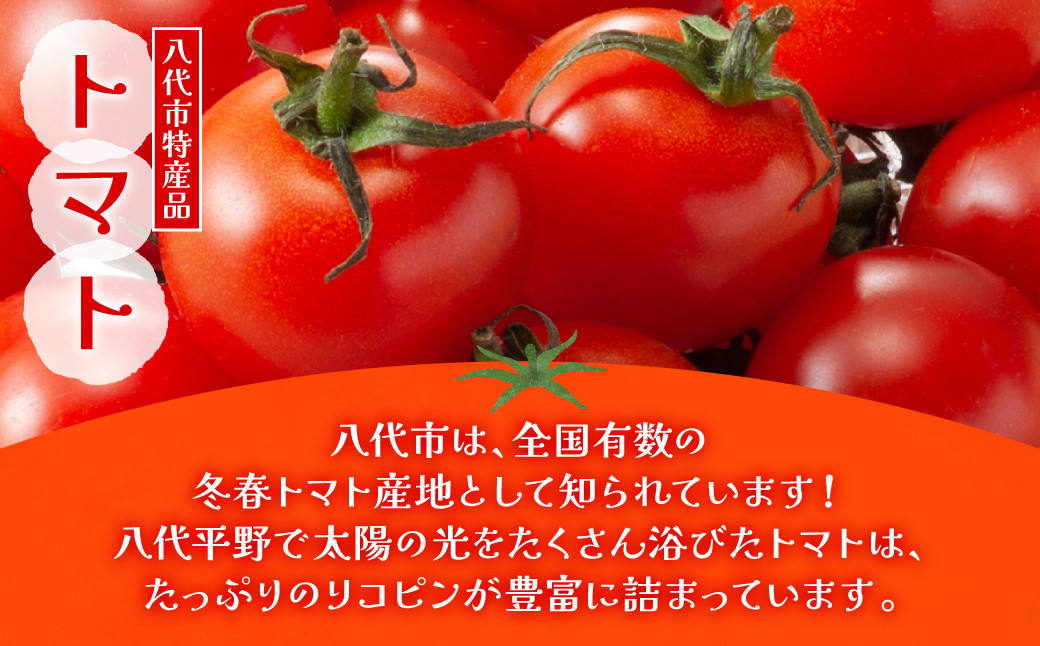 八代平野で太陽の光をたくさん浴びたトマトは、たっぷりのリコピンが豊富に詰まっています。